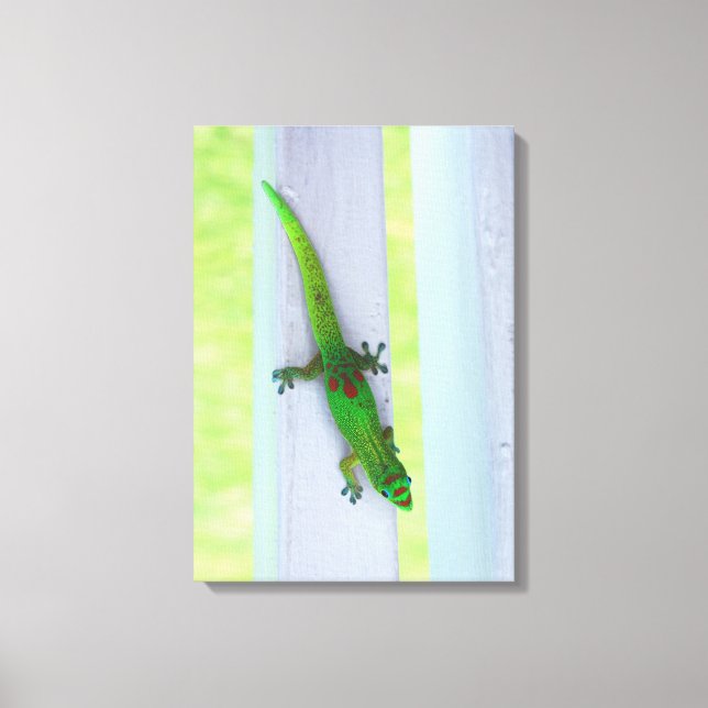 Gecko in Hawaii - Lodrät Canvas (Framsida)