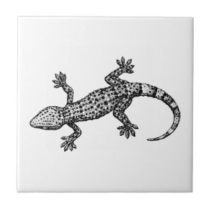 Gecko Kakelplatta