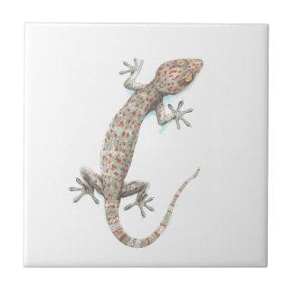 gecko kakelplatta