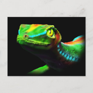 Gecko Lizard Rainbow Färger Postcards Vykort