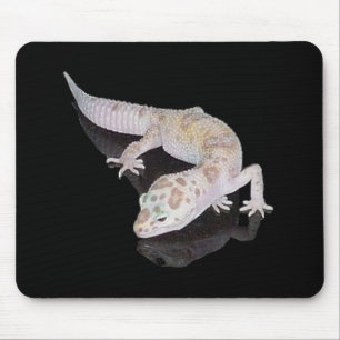 GECKO MOUSEPAD FÖR ALBINOENIGMALEOPARD MUSMATTA