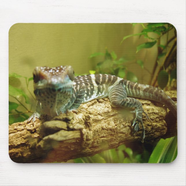 Gecko Mousepad Musmatta (Framsidan)