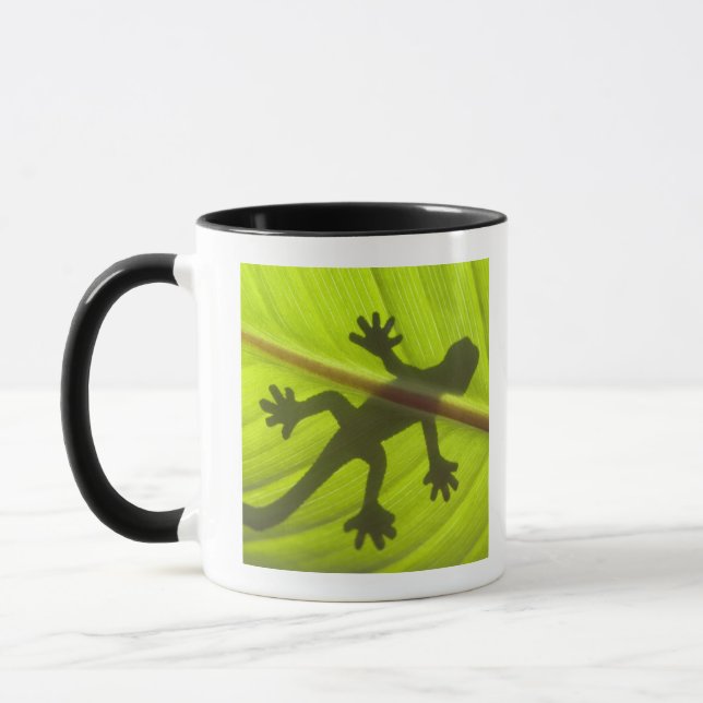 Gecko Mugg (Vänster)
