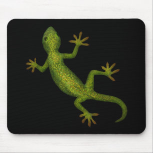 Gecko Musmatta