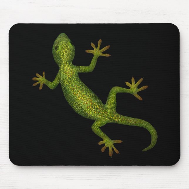Gecko Musmatta (Framsidan)