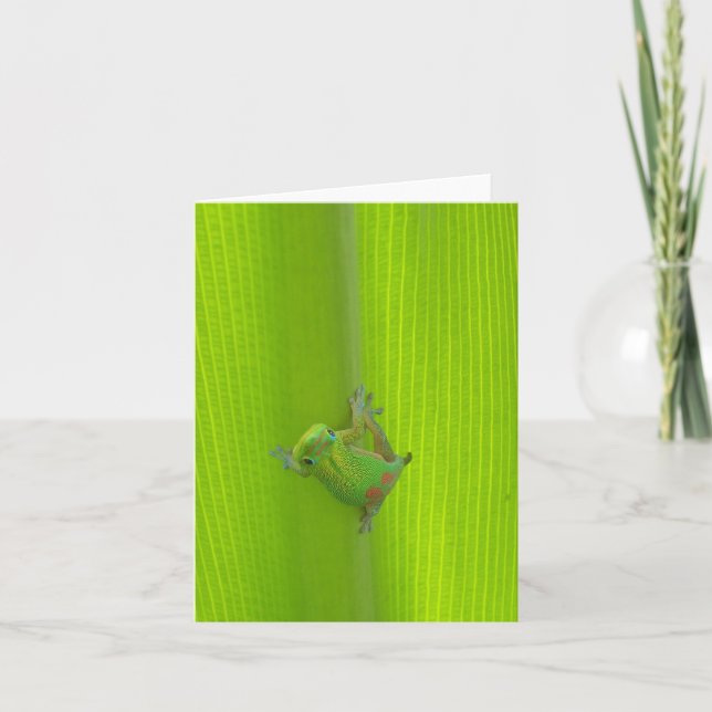 Gecko Notecard Kort (Framsida)