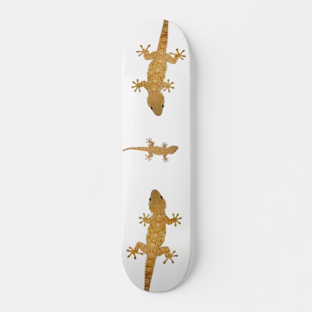 Gecko ödla reptil skateboard (Framsida)