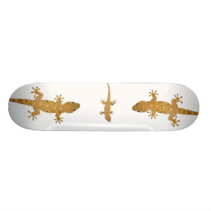 Gecko ödla reptil skateboard