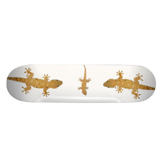 Gecko ödla reptil skateboard