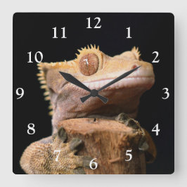 Gecko på svart, stort klocka