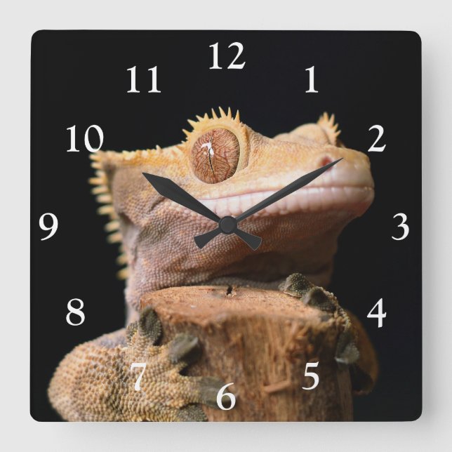 Gecko på svart, stort klocka (Framsida)