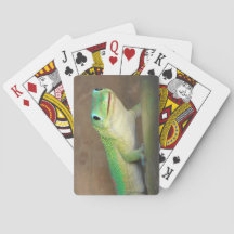 Gecko Photo guld Dust Day