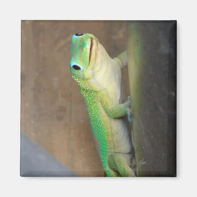 Gecko Photo guld Dust Day Magnet (Framsidan)