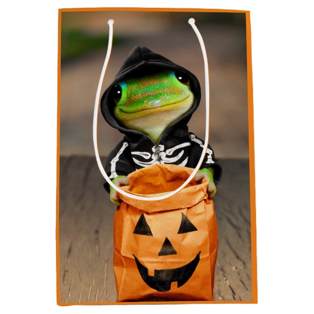 Gecko Skeleton (Framsidan)