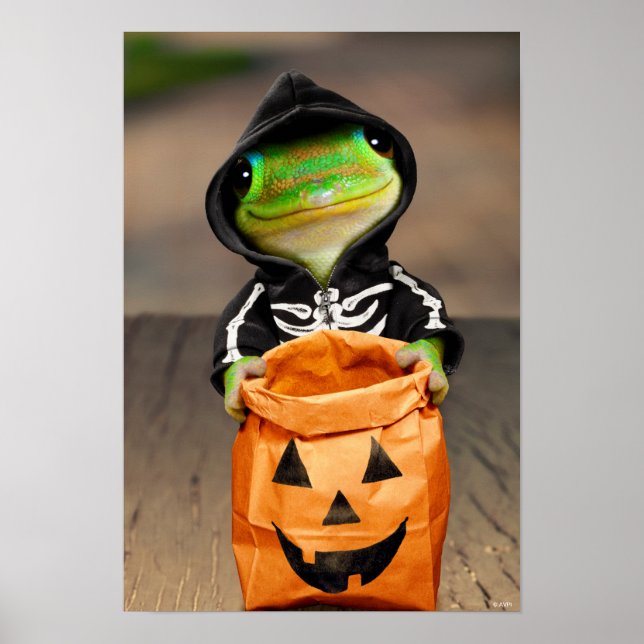 Gecko Skeleton Poster (Framsidan)