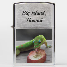 Gecko som slickar en druva