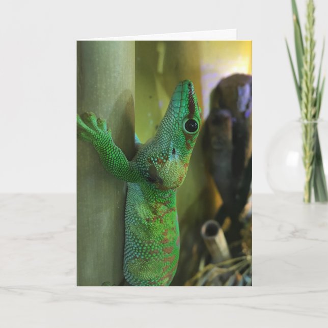 geckohälsningkort #2 (uppmuntran) kort (Framsida)