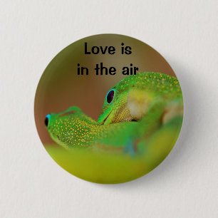 Geckokärlek Knapp