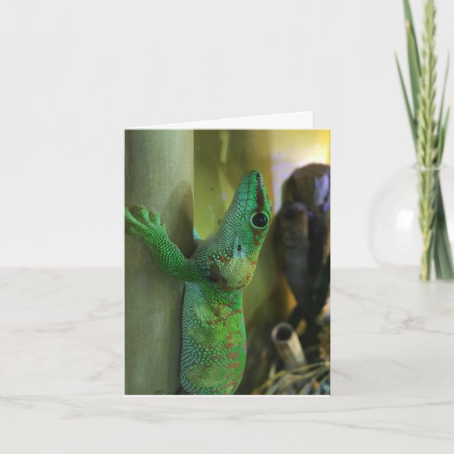geckonotecard #2 (uppmuntran) kort (Framsida)