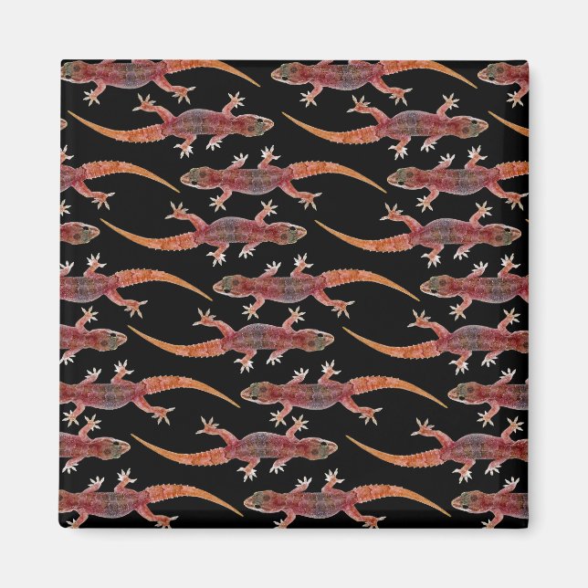 Geckos Magnet (Framsidan)