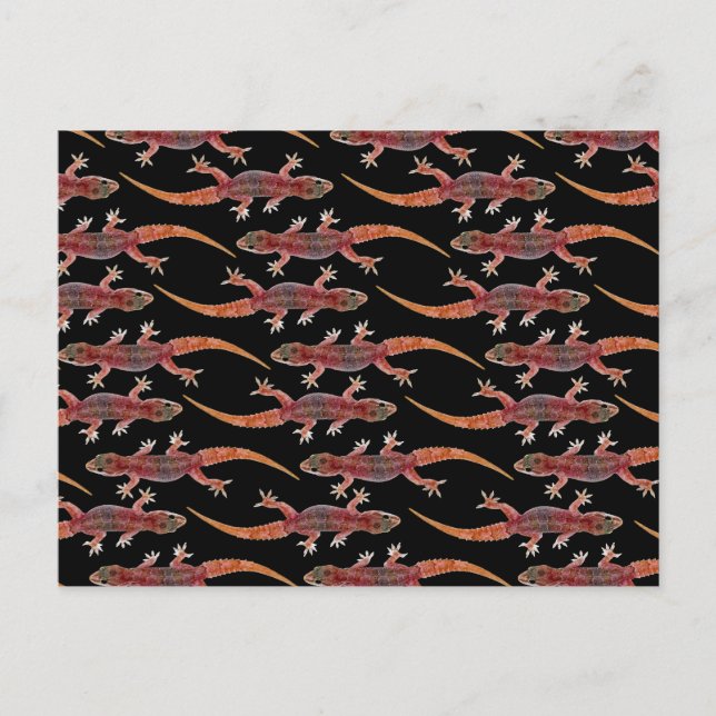 Geckos Vykort (Framsida)