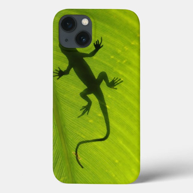 GeckoSilhouette (Baksida)