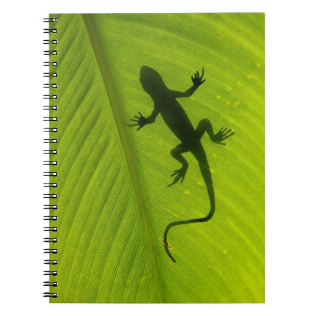 GeckoSilhouette Anteckningsbok Med Spiral (Framsidan)