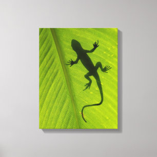GeckoSilhouette Canvastryck