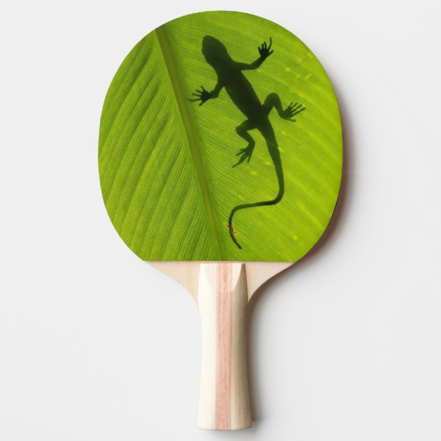 GeckoSilhouette Pingisracket (Framsidan)