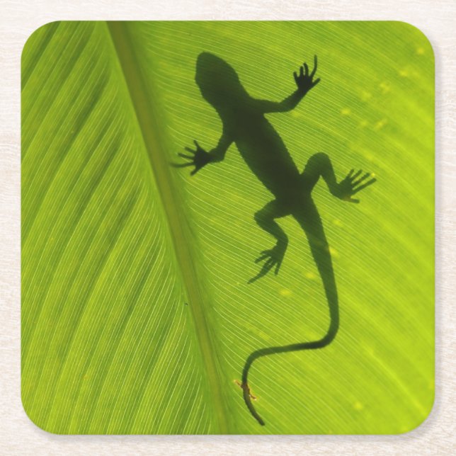 GeckoSilhouette Underlägg Papper Kvadrat (Framsidan)