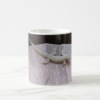 Geckoterritorium Kaffemugg
