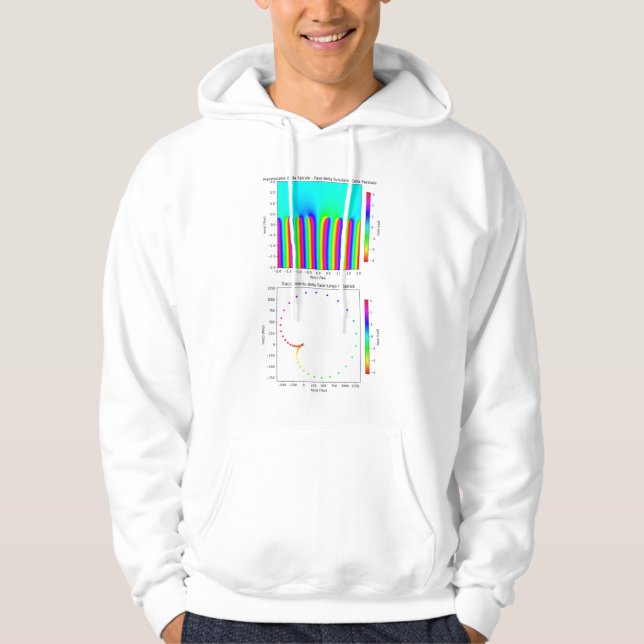 Geek Chic Hoodie - The Beauty of Zeta Function (Framsida)