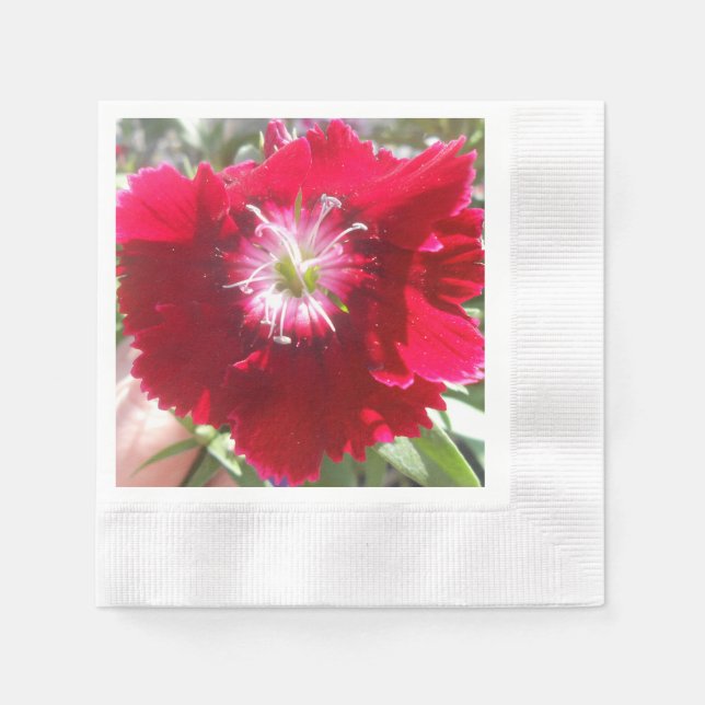 Geertje Pappersservett (Framsidan)