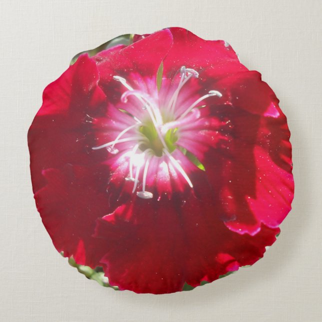 Geertje Rund Kudde (Baksidan)