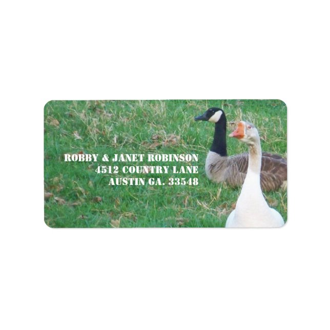 Geese Adress Stickers Adressetikett (Framsidan)