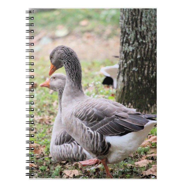 Geese Anteckningsbok (Framsidan)