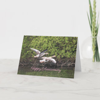 Geese-årsdagen Tack Kort