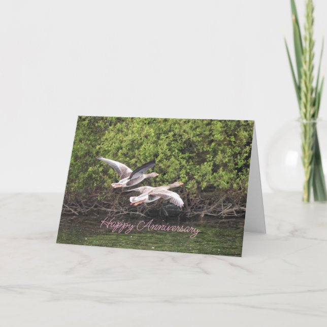 Geese-årsdagen Tack Kort (Framsida)