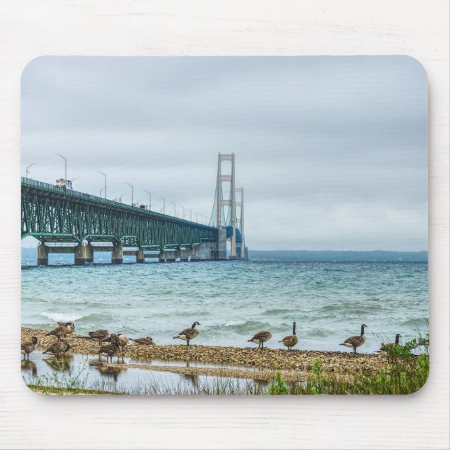 Geese at Mighty Mac Musmatta (Framsidan)