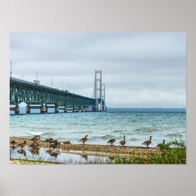 Geese at Mighty Mac Poster (Framsidan)