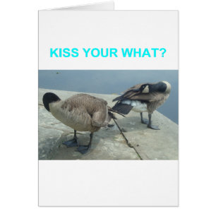 Geese Hälsningskort