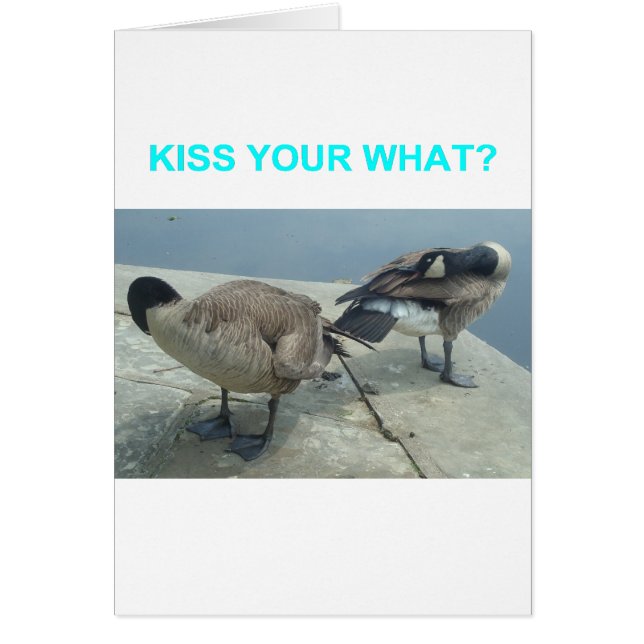 Geese Hälsningskort (Framsidan)