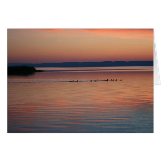 Geese i Sunset Hälsningskort (Framsidan Horizontal)
