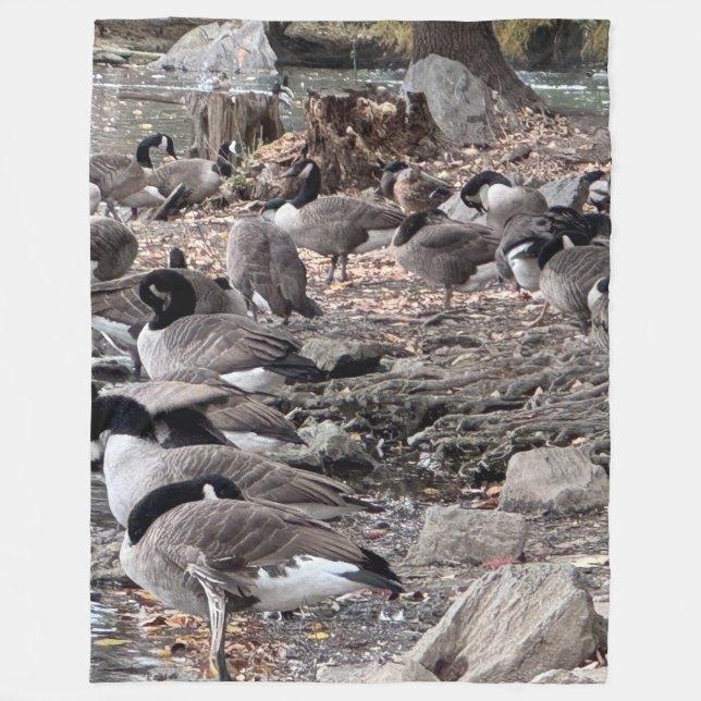 Geese in the Park Fleece Blanket (Framsidan)