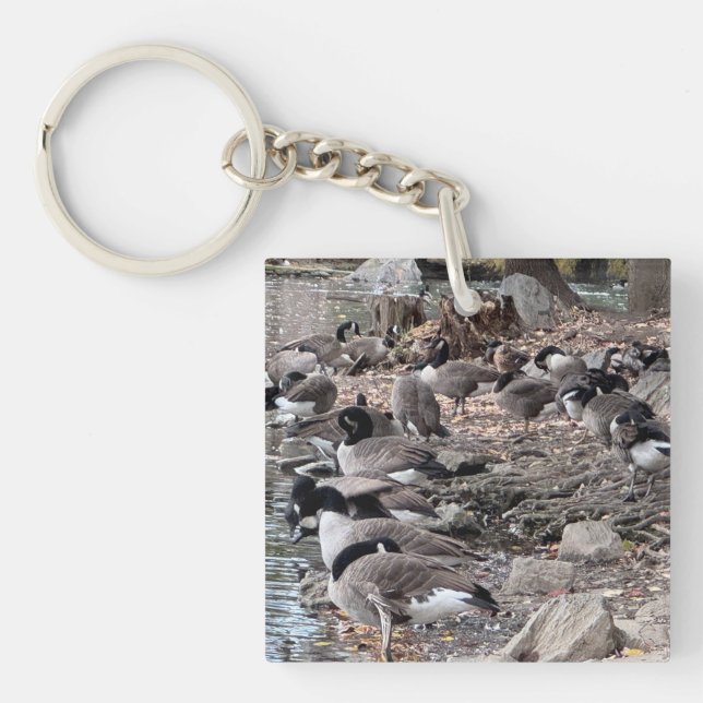 Geese in the Park Key Chain (Framsidan)