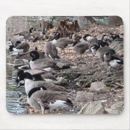 Geese in the Park Mouse Pad Musmatta