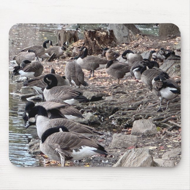 Geese in the Park Mouse Pad Musmatta (Framsidan)