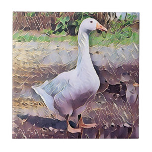GEESE KAKELPLATTA