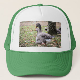 Geese Keps