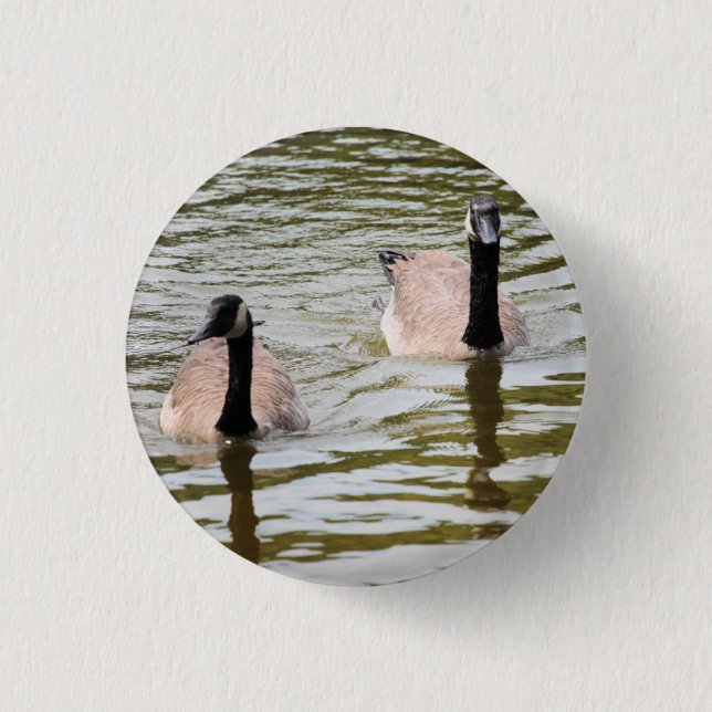 Geese Knapp (Framsida)